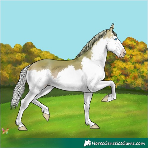 Horse Color:Watercolor Silver Amber Champagne Splash 