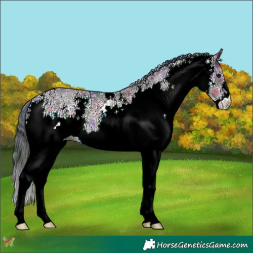 Horse Color:Nacre White Spotted Brown Dun