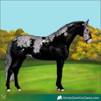 Horse Color:Nacre White Spotted Brown Dun 