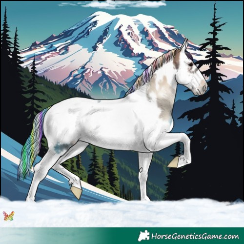Horse Color:Painted Brown Onyx Splash Tobiano Frame Rabicano 