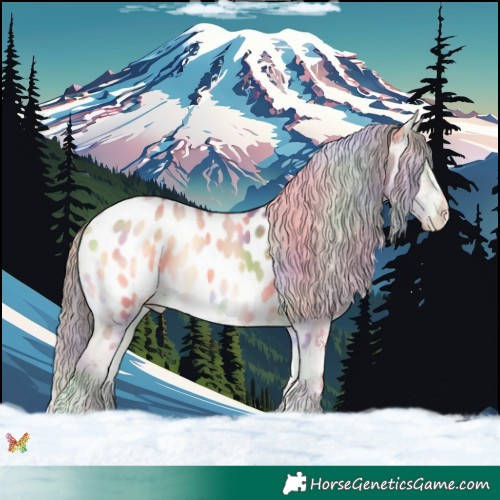 Horse Color:Nacre White Spotted Bay Onyx Near Leopard 