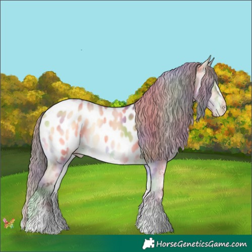 Horse Color:Nacre White Spotted Bay Onyx Appaloosa 