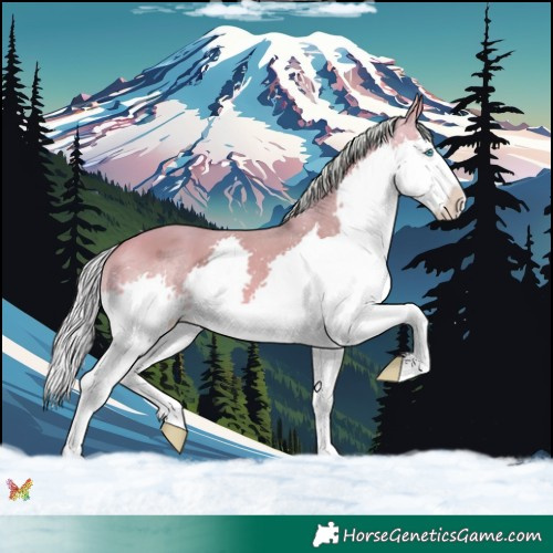 Horse Color:Watercolor Silver Sable Champagne Splash 