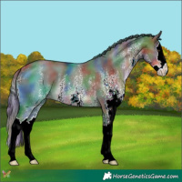 Horse Color:Nacre White Spotted Liver Red Dun Splash 