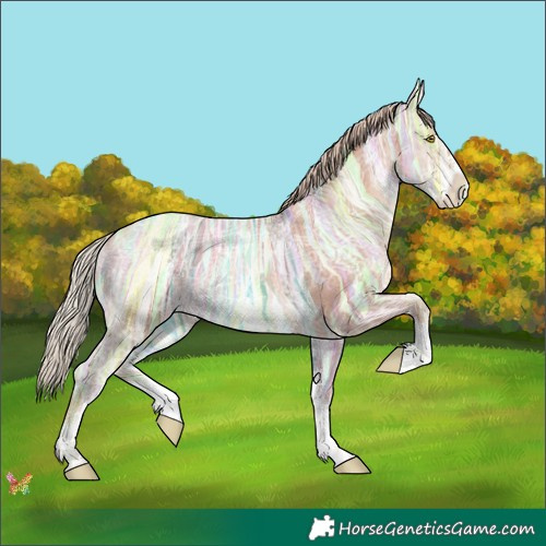 Horse Color:Gold Champagne Ice Sabino 