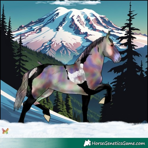 Horse Color:Nacre Blue Onyx Tobiano 