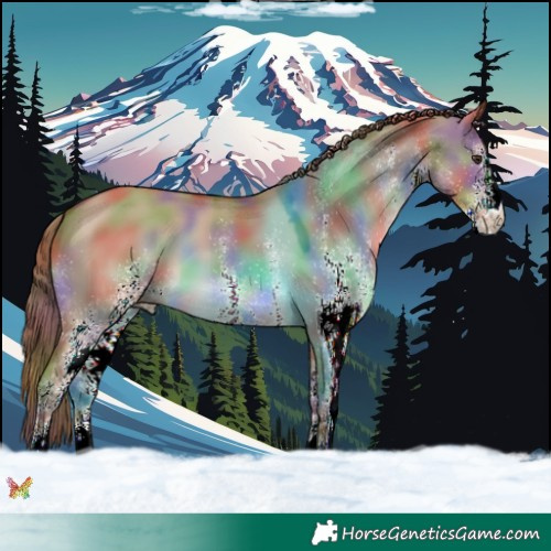 Horse Color:Nacre White Spotted Red Dun 