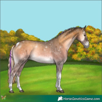 Horse Color:Painted Chocolate Palomino Onyx Tobiano 
