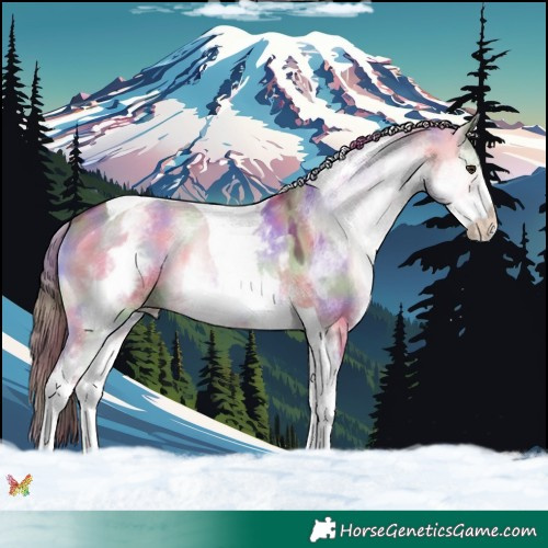 Horse Color:Nacre White Spotted Red Dun Onyx Tobiano Rabicano 