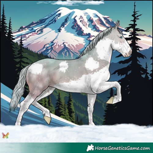 Horse Color:Watercolor Silver Sable Champagne Splash Tobiano 