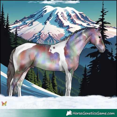 Horse Color:Nacre Brown Onyx Tobiano 