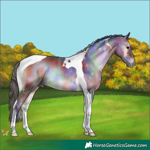 Horse Color:Nacre Brown Onyx Tobiano 