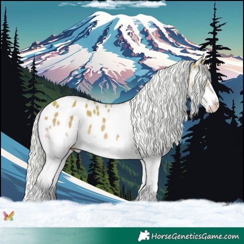 Horse Color:Watercolor Silver Sable Champagne Splash Appaloosa 