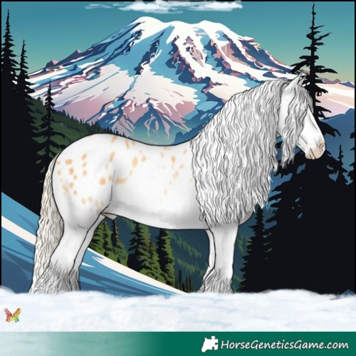Horse Color:Watercolor Gold Cream Champagne Pearl Splash Appaloosa 