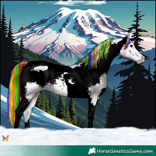 Horse Color:Painted Blue Onyx Tobiano Varnish 