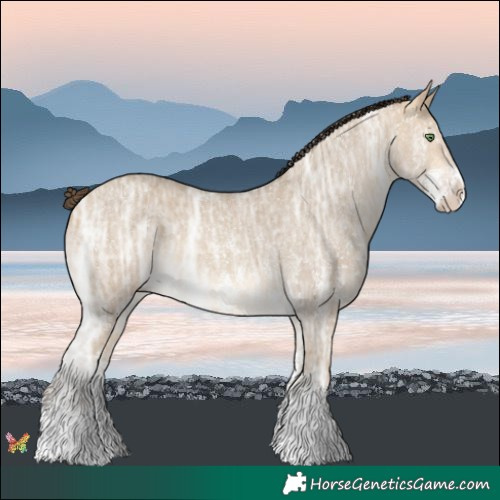 Horse Color:Sable Cream Champagne Ice Sabino Rabicano 