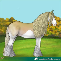 Horse Color:Watercolor Gold Champagne Splash 