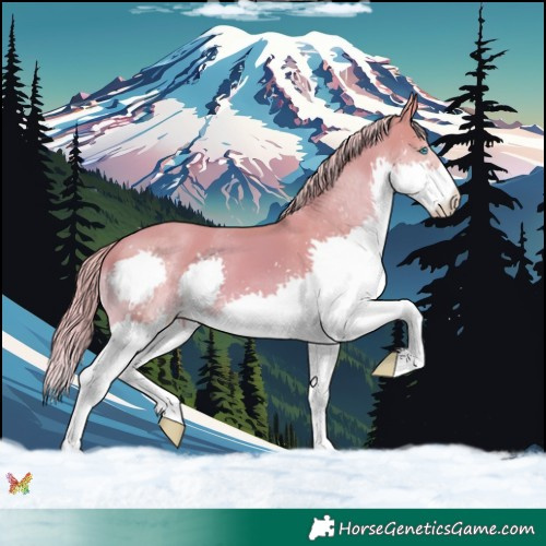 Horse Color:Watercolor Gold Champagne Splash 