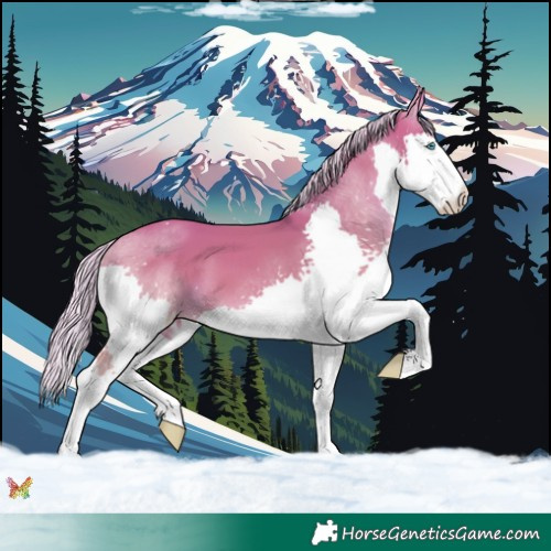 Horse Color:Watercolor Silver Amber Champagne Splash 