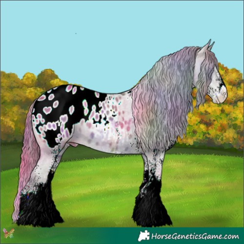 Horse Color:Nacre White Spotted Grullo Appaloosa Rabicano 