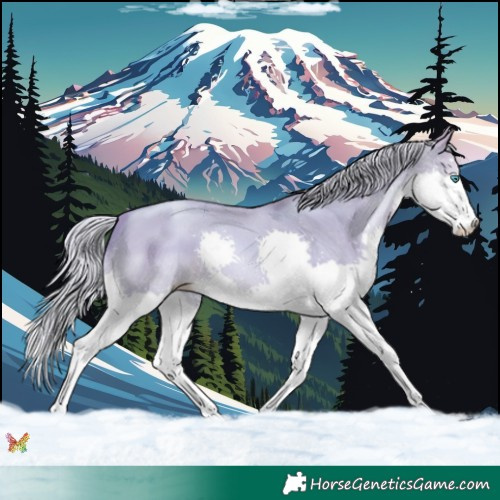 Horse Color:Watercolor Silver Sable Cream Champagne Pearl Dun Splash 