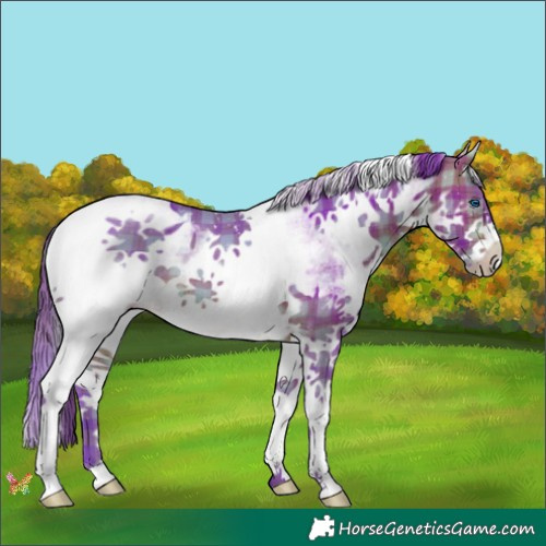 Horse Color:Watercolor Plaid White Spotted Bay Splash