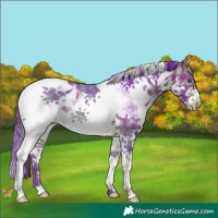 Horse Color:Watercolor Plaid  White Spotted Bay Splash 