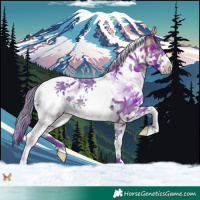 Horse Color:Watercolor Plaid White Spotted Bay Splash