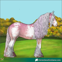 Horse Color:Watercolor White Spotted Silver Amber Champagne Dun 