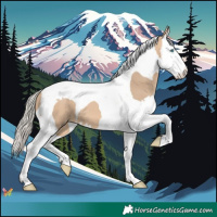 Horse Color:Silver Bay Dun Splash Tobiano 