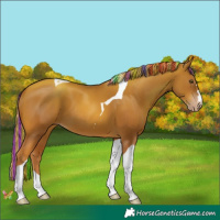 Horse Color:Painted Gold Champagne Tobiano 