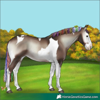 Horse Color:Painted Liver Red Onyx Splash Tobiano 