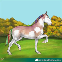Horse Color:Painted Watercolor Silver Classic Champagne Onyx Splash 
