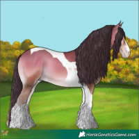 Horse Color:Sable Champagne Onyx Tobiano 