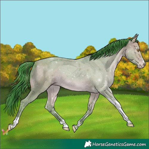 Horse Color:Watercolor Sable Champagne Tobiano 