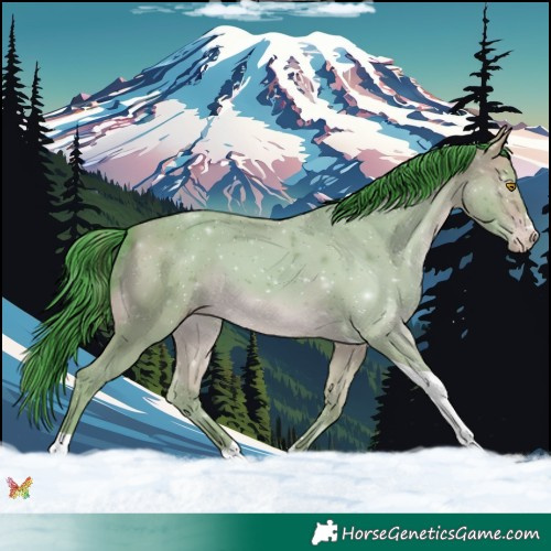 Horse Color:Watercolor Sable Champagne Tobiano 