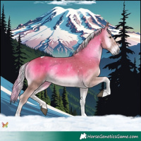 Horse Color:Palomino Onyx Tobiano 