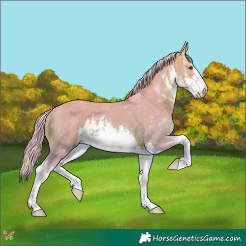 Horse Color:Watercolor White Spotted Silver Brown Dun 