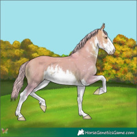 Horse Color:Watercolor White Spotted Silver Brown Dun 