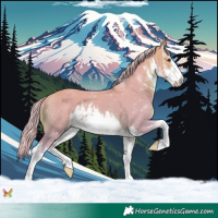 Horse Color:Watercolor White Spotted Silver Brown Dun