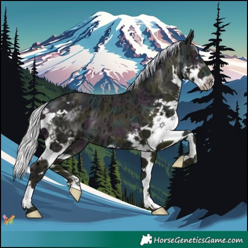 Horse Color:Watercolor Midnight Silver Buckskin Ice Pearl Splash 