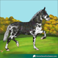 Horse Color:Watercolor Midnight Silver Buckskin Ice Pearl Splash