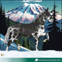 Horse Color:Watercolor Midnight Silver Buckskin Ice Pearl Splash 