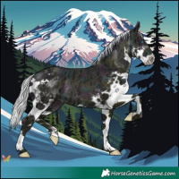 Horse Color:Watercolor Midnight Silver Buckskin Ice Pearl Splash 