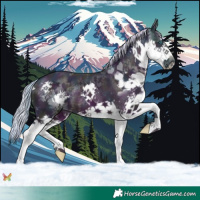 Horse Color:Watercolor Midnight Silver Buckskin Splash 