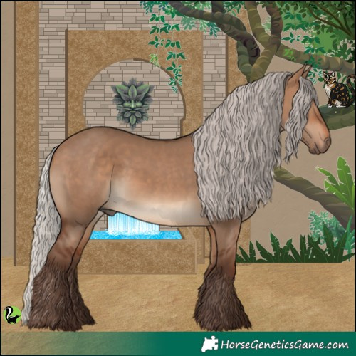 Horse Color:Silver Brown Dun 