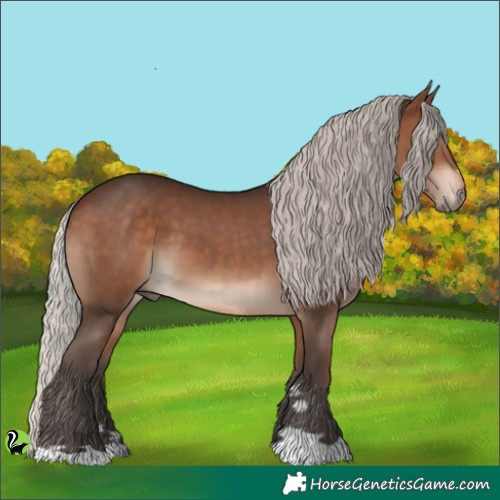 Horse Color:Silver Brown 