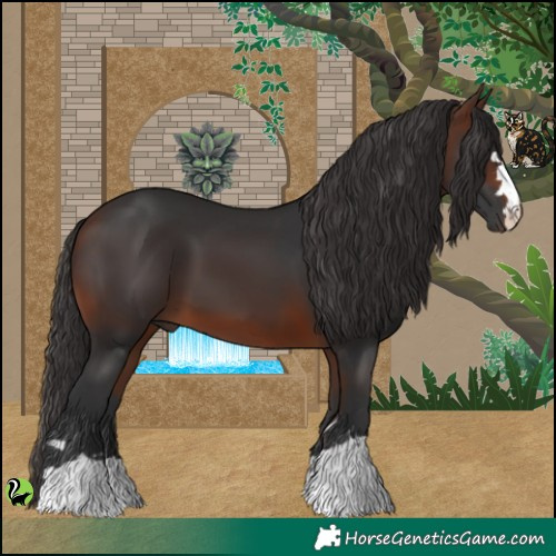Horse Color:Brown 