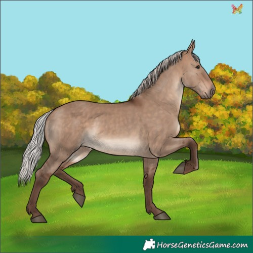 Horse Color:Silver Brown Dun