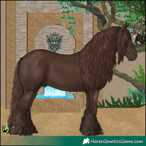 Horse Color:Liver Chestnut 